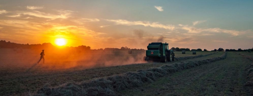 Traktor på et jorde