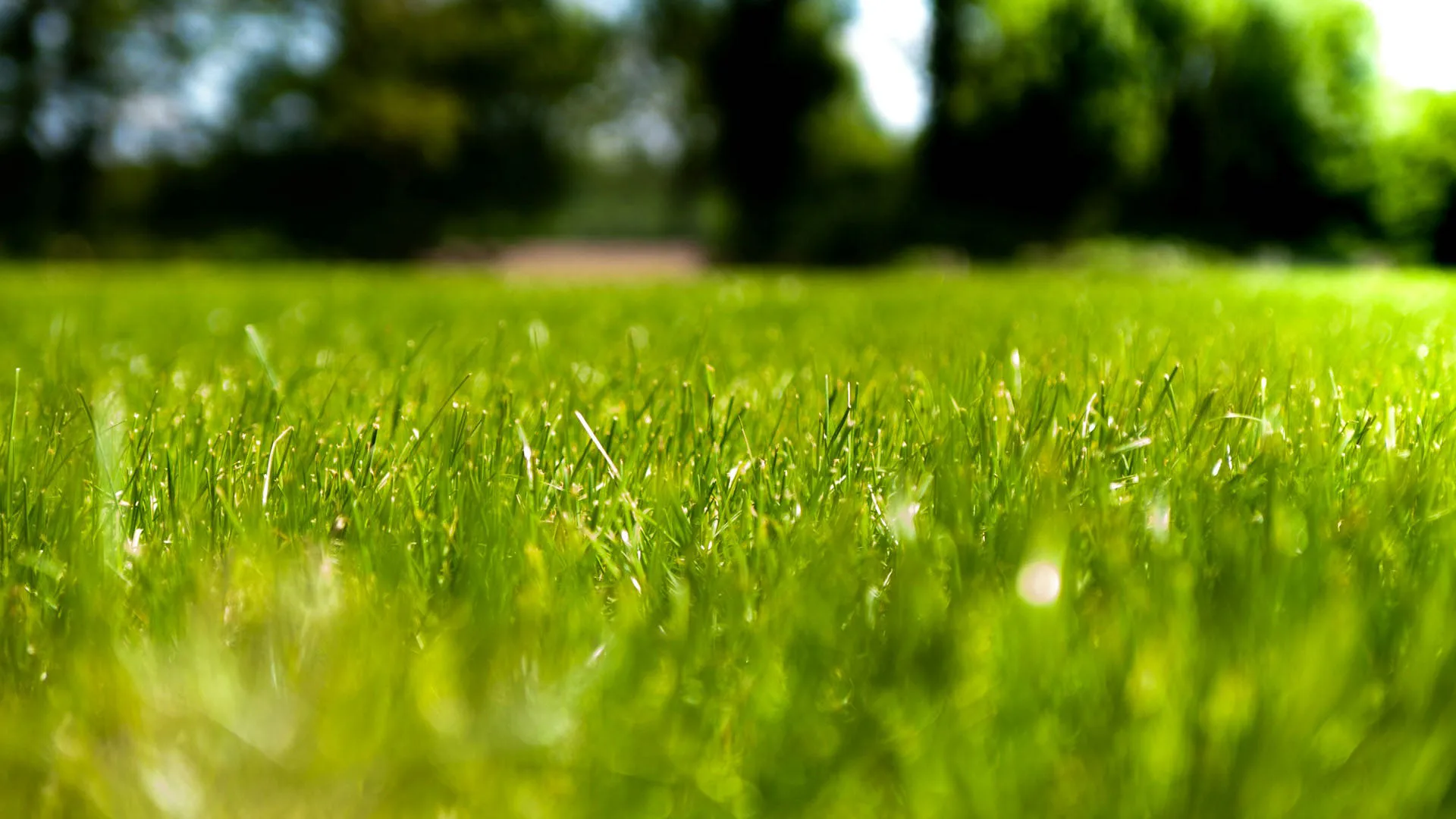 Park-mix